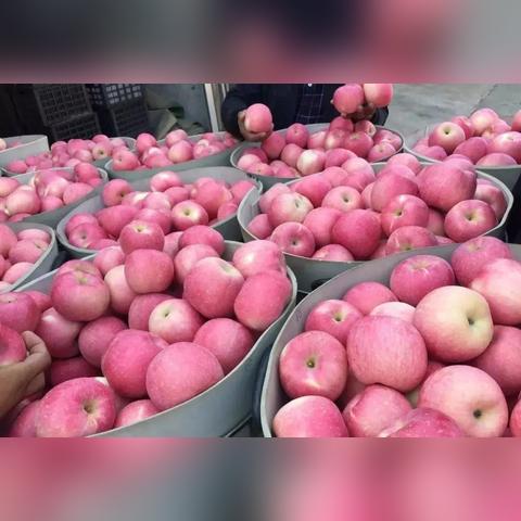 威海成山天气的长尾关键词有哪些