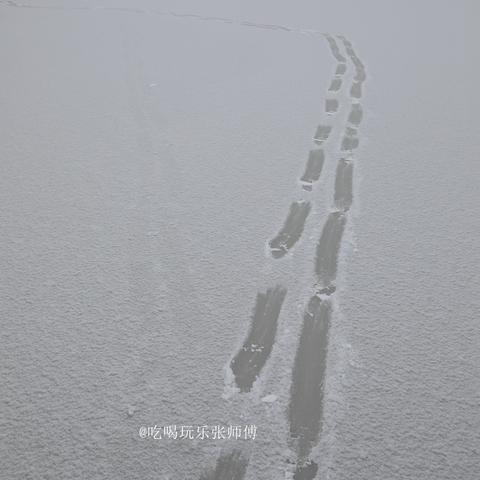 哈尔滨市东边哪个区最繁华