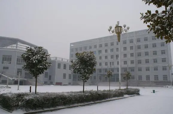 淮北百度优化排名 淮北百度排名优化