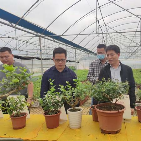 横州市和南宁市哪个好些