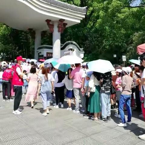 长沙面积公顷相关长尾关键词有哪些