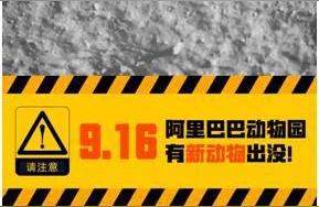 给宝宝起名字大全2019,邀请函的脚印是什么动物
