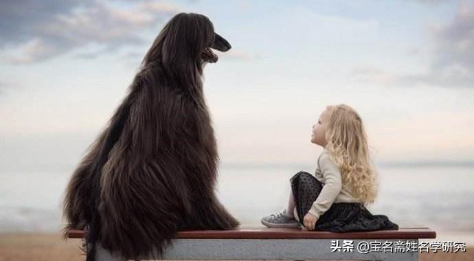 猪宝宝起名字大全2019,有什么好玩的游戏可推荐