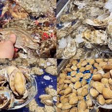 沈阳泡泡跑2016相关长尾关键词有哪些