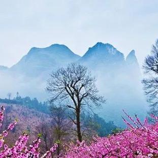 桂林恭城桃花节2020相关长尾关键词有哪些