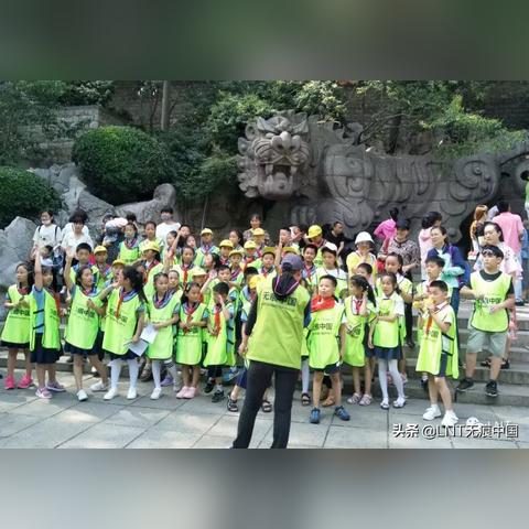 济南市对应的市花是什么