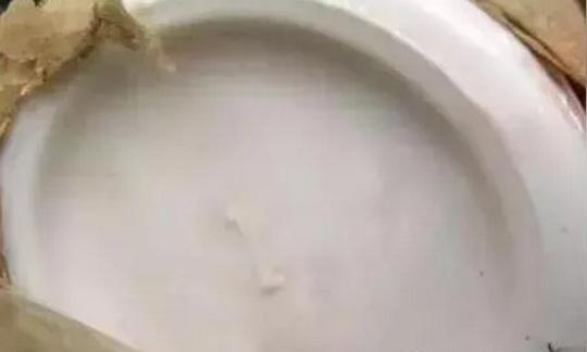 来看看茅台酒瓶那些有趣又冷门的知识