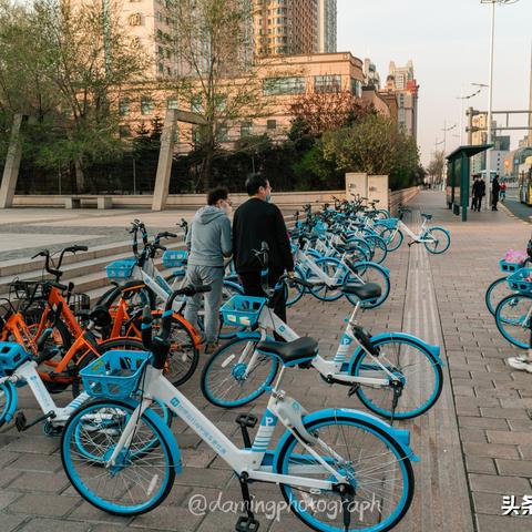 哈尔滨市租自行车多少钱