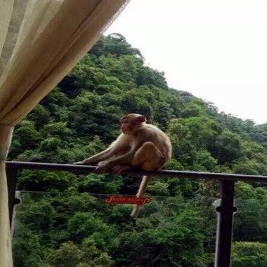 桂林香江饭店是私企还是国企？