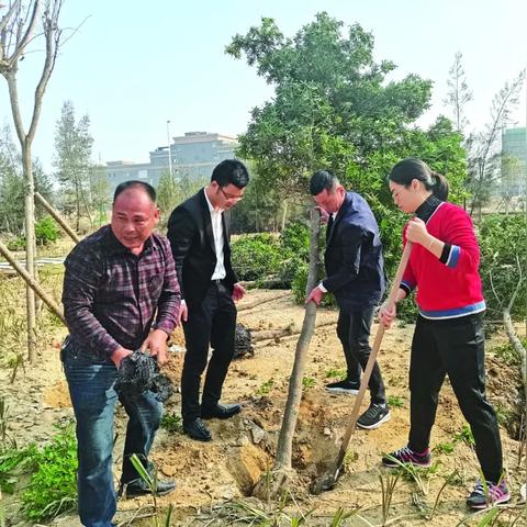 福建石狮热电公司怎么样