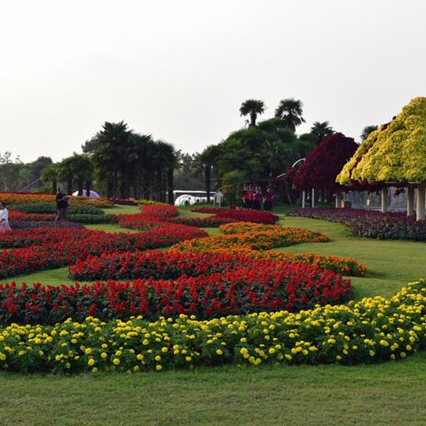 沈阳靓亮相关长尾关键词有哪些