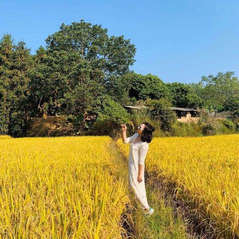 广州聚会词相关长尾关键词有哪些