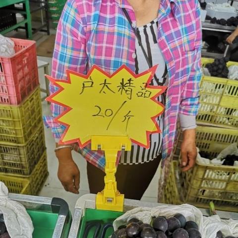 西安市对户怎么认定