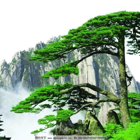 太极贵人文昌贵人天德贵人(太极贵人 文昌贵人)