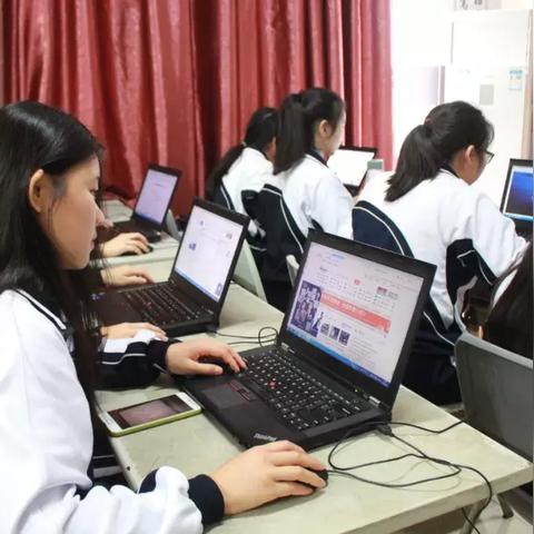 seo是什么职业概念