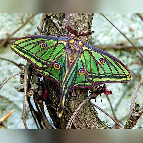 西班牙好看的电影相关长尾关键词有哪些