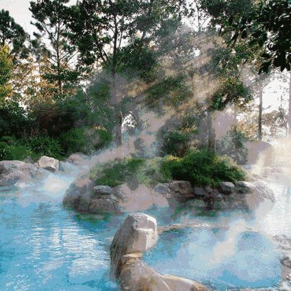 厦门市一月份气候怎么样