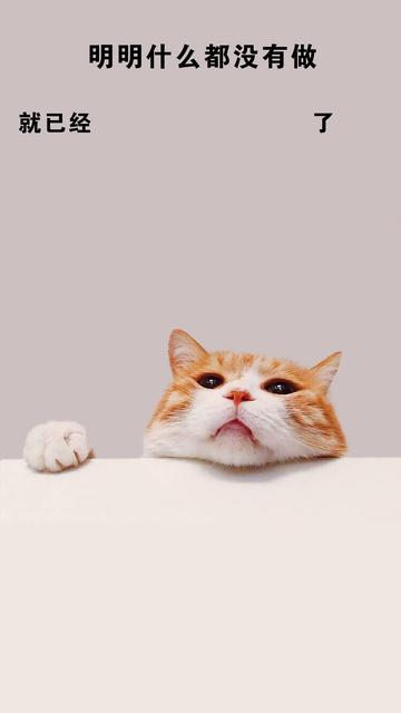 明明什么都没做就已经壁纸图片