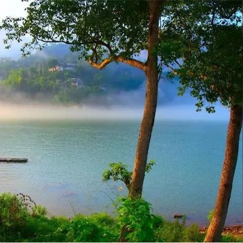 温州市各县地图的长尾关键词有什么