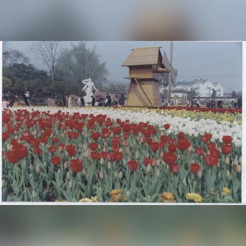 苏州常熟新村房价的长尾关键词有哪些