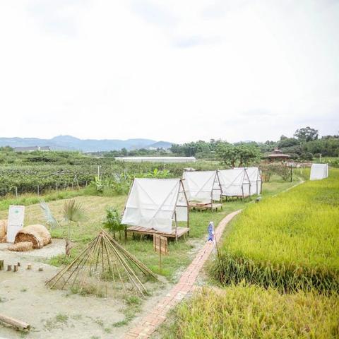 成都市摄影培训班有哪些