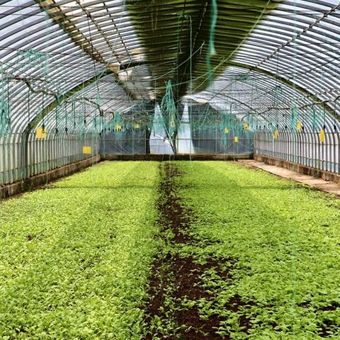 河南建档哪个医院免费