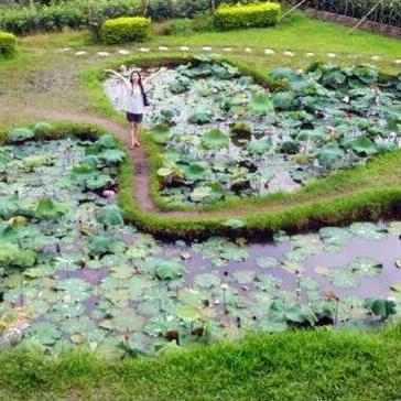 详细阅读:植物大战僵尸融合版下载(植物大战僵尸融合版下载攻略及体验分享) 植物大战僵尸融合版下载(植物大战僵尸融合版下载攻略及体验分享)