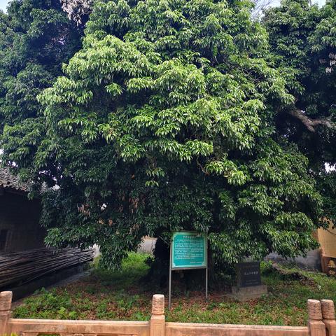 海南和福建哪个大？