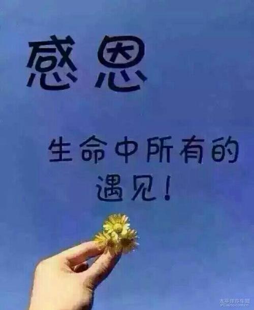感恩遇见，感谢有你，一路同行