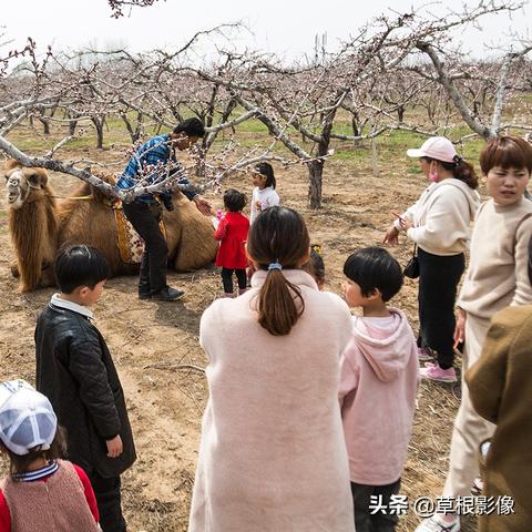 菏泽市包括多少县