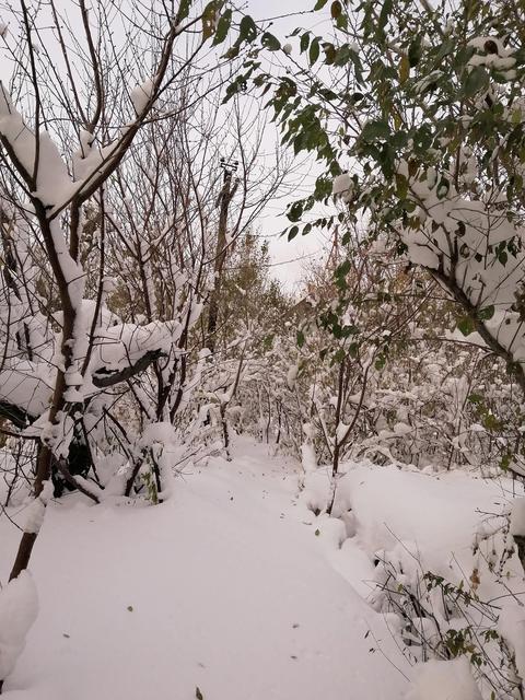 2021第一场雪怎么发朋友圈