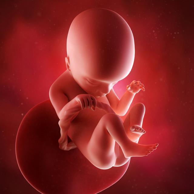 影响胎儿大小的9大因素