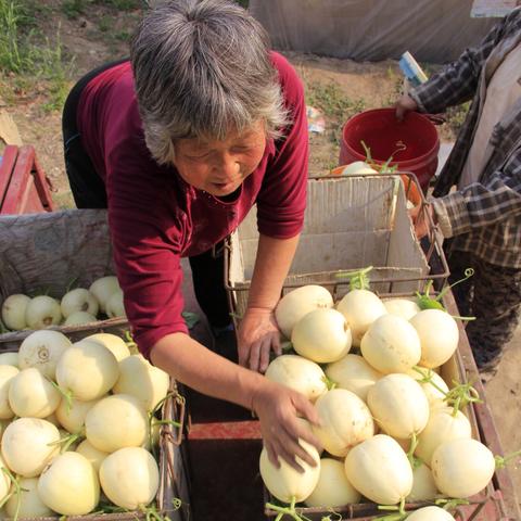 河南一年哪个季节最潮