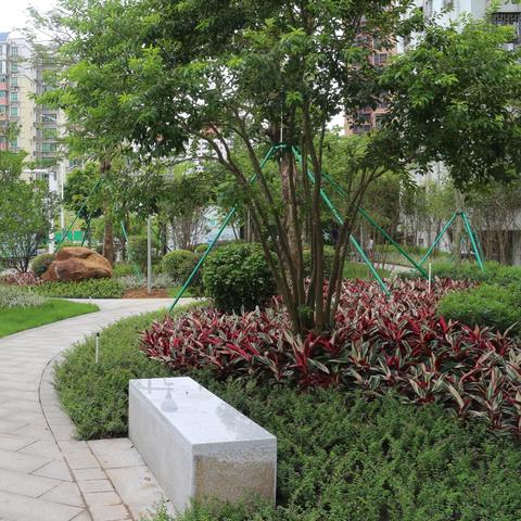 佛山市有哪些菜肉市场