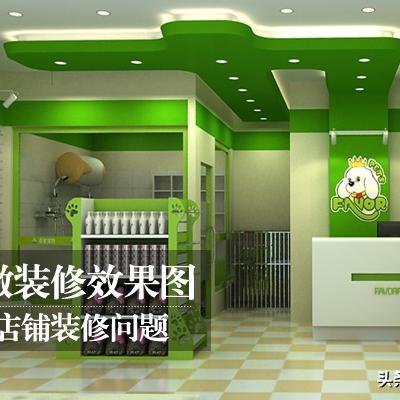 天津圣宠宠物加盟怎么样