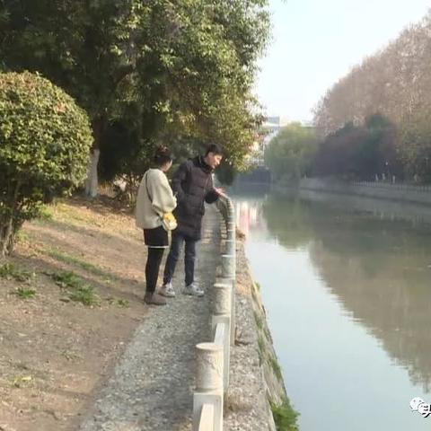 盘点上海到江苏快递相关关键词有哪些