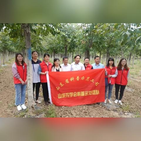 2021山东高中高一人数？