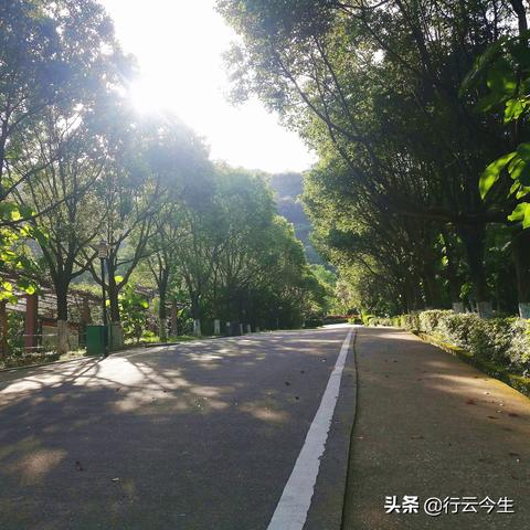 东莞市水泥修复店在哪里