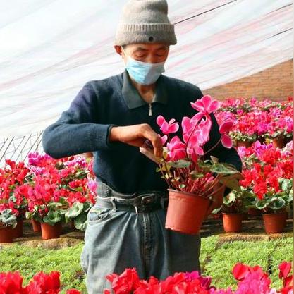 石家庄市拉货的长尾关键词有什么