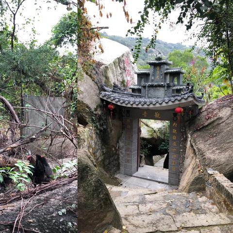 蟒蛇厦门的相关长尾关键词有哪些