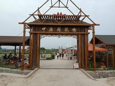 怎么给姓顾的宝宝起名(姓许男孩名字)