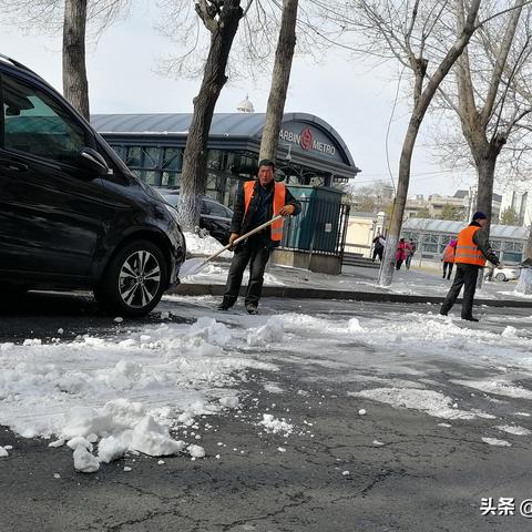 哈尔滨市附近有什么区