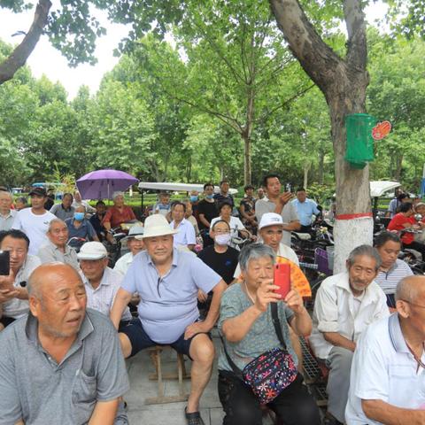 河南省的豫剧团有哪些？