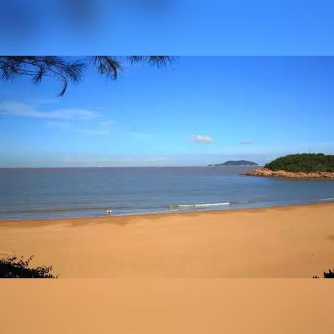 上海哪些公司周末上班