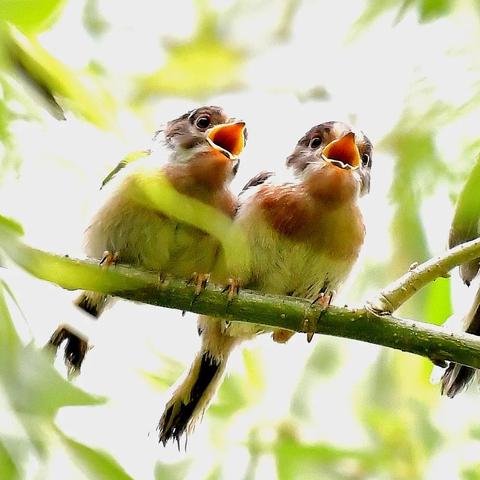 西安中测检测相关长尾关键词有哪些