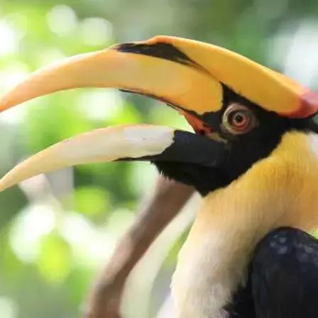 合肥赛瑞德相关长尾关键词有哪些