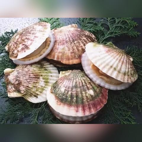 大连市39中学什么位置