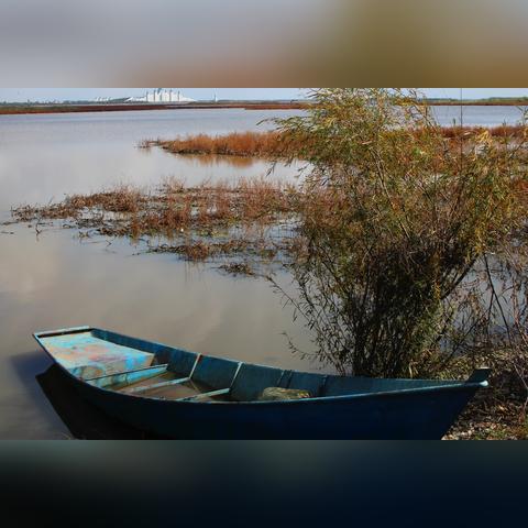 哈尔滨市哪里销售山推