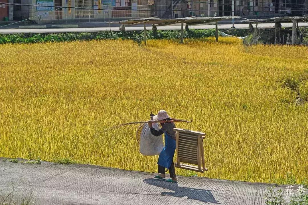 哪里有板票木材卖多少钱一立方