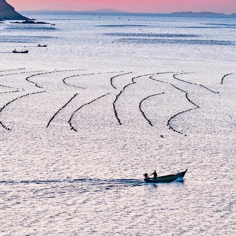 三亚到厦门市有多少公里